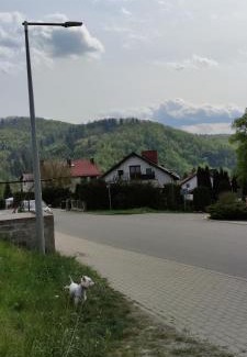 Bardo Apartamento | Apartament Hokus Pokus