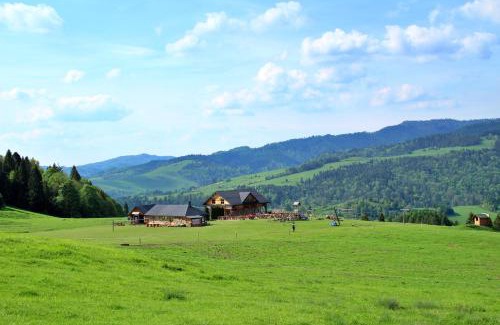 Szlachtowa Apartamento | Apartament Homole D2