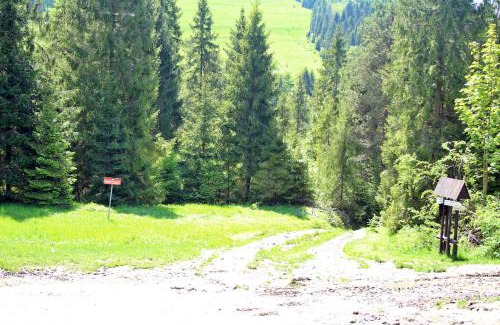 Szlachtowa Apartamento | Apartament Homole D2