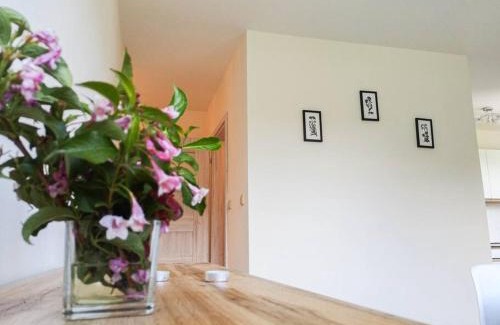 Bochnia Apartamento | Apartament Hubertus