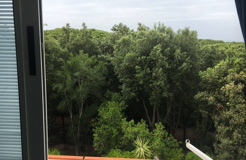 Punta Ala Apartamento | Apartament in apartament house near the sea surrounding by secular pinegroves