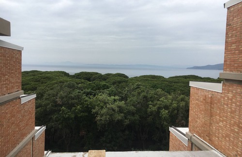 Punta Ala Apartamento | Apartament in apartament house near the sea surrounding by secular pinegroves
