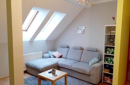 Mragowo Apartamento | Apartament Kaktus