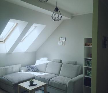 Mragowo Apartamento | Apartament Kaktus