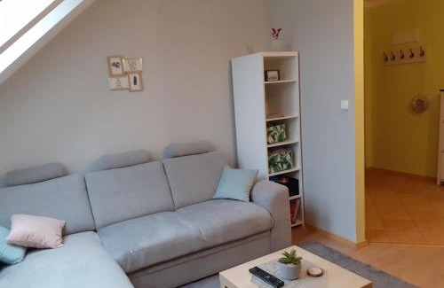 Mragowo Apartamento | Apartament Kaktus