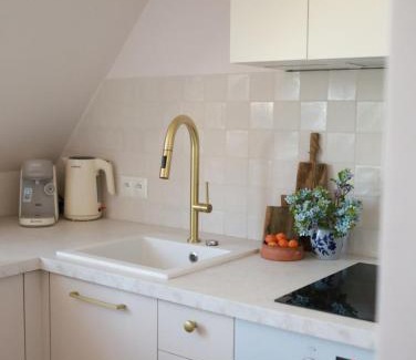Murowana Goslina Apartamento | Apartament Kasztanowy