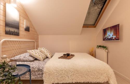 Ustrzyki Dolne Apartamento | Apartament Kasztelan II