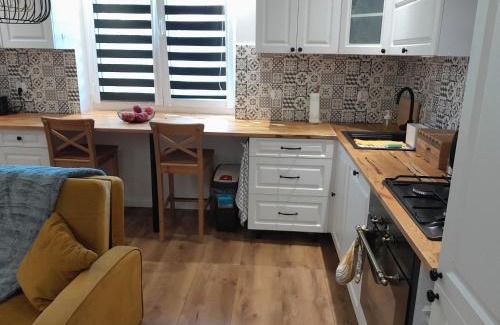 Boguszow-Gorce Apartamento | Apartament "Konie i anioły"