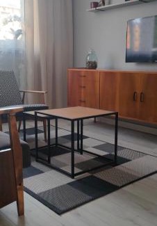 Pradnik Bialy Apartamento | Apartament Kraków Łobzów