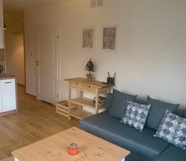 Wisla Apartamento | Apartament Kuba na Spokojnej