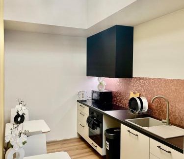 Kutno Apartamento | Apartament Kutno - Sami Swoi