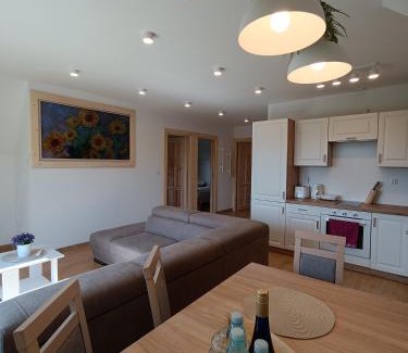 Gliczarow Gorny Apartamento | Apartament Kwiat Paproci