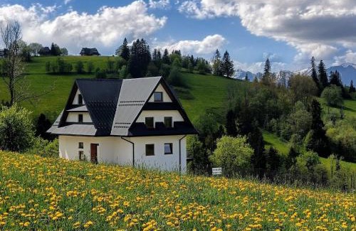 Gliczarow Gorny Apartamento | Apartament Kwiat Paproci