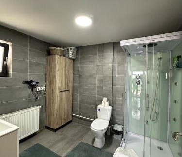 Bistrita Apartamento | Apartament la casă