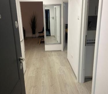 Roman Apartamento | Apartament la Nicole ultracentral Bld Roman bloc 39
