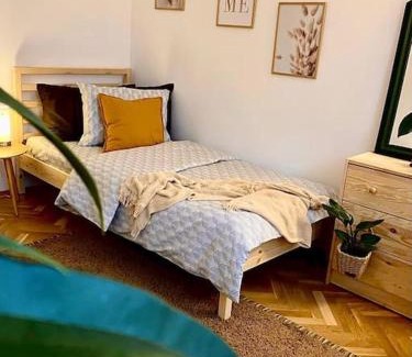 Tirgu Mures Apartamento | Apartament langa Universitate UMFST