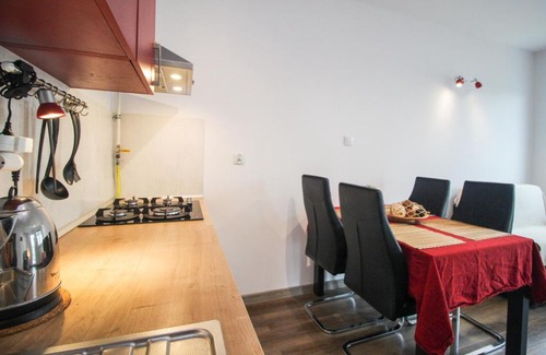 Old Town Apartamento | Apartament Lublin Stare Miasto „Wild Cat II”