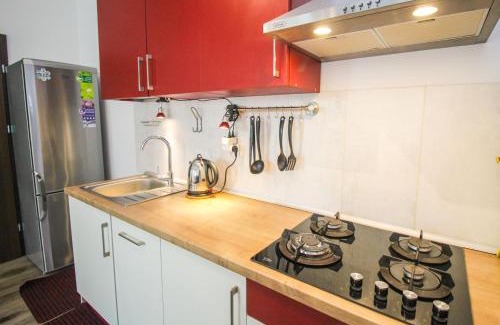 Old Town Apartamento | Apartament Lublin Stare Miasto „Wild Cat II”