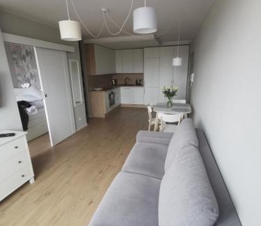 Klodzko Miasto Apartamento | Apartament Manhattan
