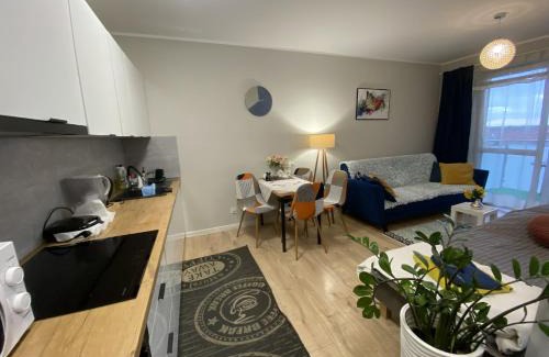 Elblag Apartamento | Apartament MIELCZARSKIEGO Elbląg