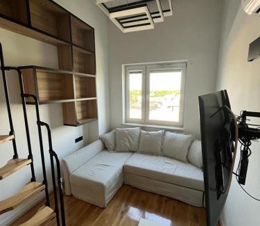 Turek Apartamento | Apartament Milewskiego