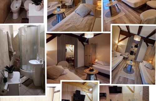 Tolkmicko Apartamento | Apartament Milka