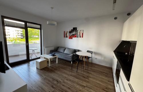Siedlce Apartamento | Apartament Morenova