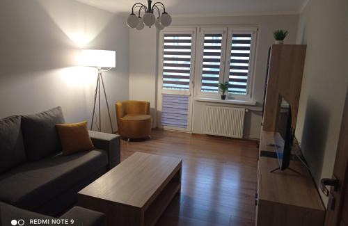 Stalowa Wola Apartamento | Apartament na parterze