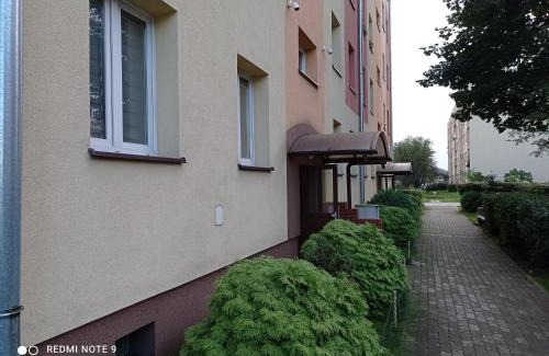 Stalowa Wola Apartamento | Apartament na parterze