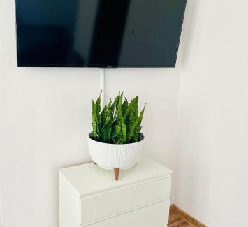 Radzyn Podlaski Apartamento | Apartament na Spółdzielczej