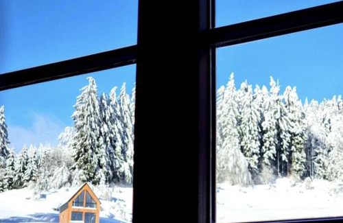 Sokolec Chalet De Esquí | Apartament Na Szlaku