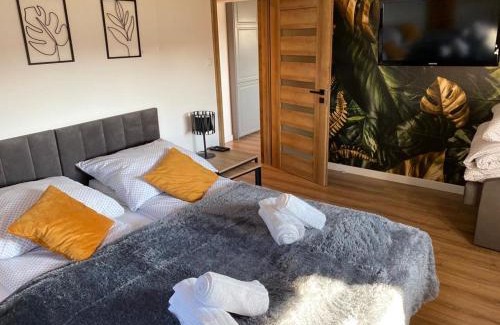 Szczawnik Apartamento | Apartament nad Szczawniczkiem
