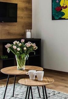 Lublin Apartamento | Apartament Nadbystrzycka no. 13