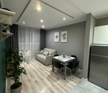Ruda Slaska Apartamento | Apartament Niedurnego 38