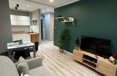 Ruda Slaska Apartamento | Apartament Niedurnego 38