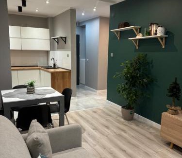 Ruda Slaska Apartamento | Apartament Niedurnego 38