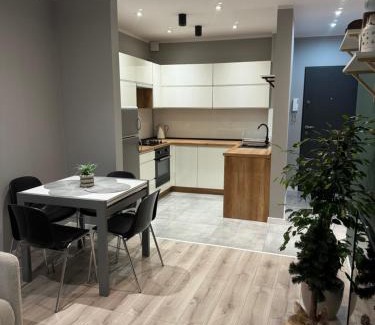 Ruda Slaska Apartamento | Apartament Niedurnego 38