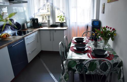 Pradnik Bialy Apartamento | Apartament Night Premium Krakow