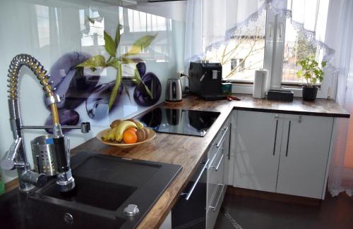 Pradnik Bialy Apartamento | Apartament Night Premium Krakow