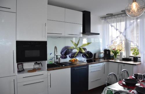 Pradnik Bialy Apartamento | Apartament Night Premium Krakow