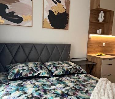 Kielce Apartamento | Apartament Nova Klonova Porto