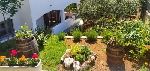 Vrsar Apartamento | Apartament Oliva