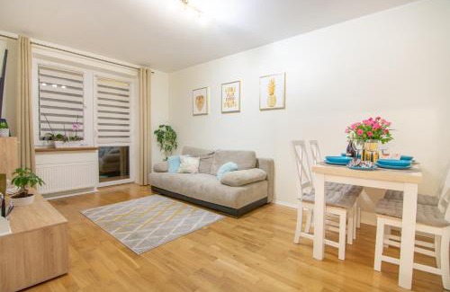 Ustrzyki Dolne Apartamento | Apartament Optima