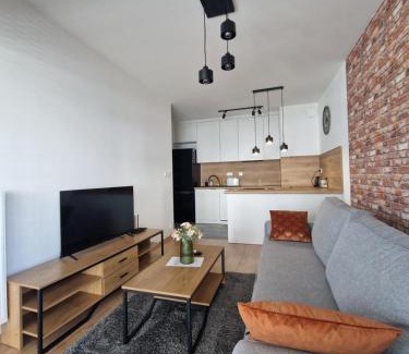 Rzeszow Apartamento | Apartament Paderewskiego Two Bedrooms Private Garage Air Condition