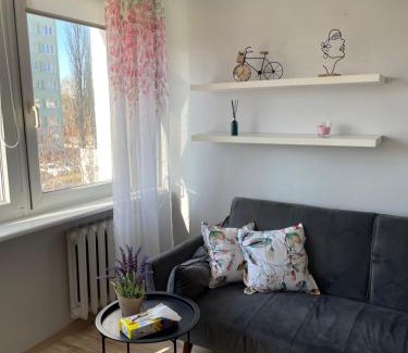 Olsztyn Apartamento | Apartament Pan Tadeusz