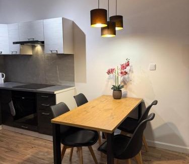 Pradnik Bialy Apartamento | Apartament Pasteura
