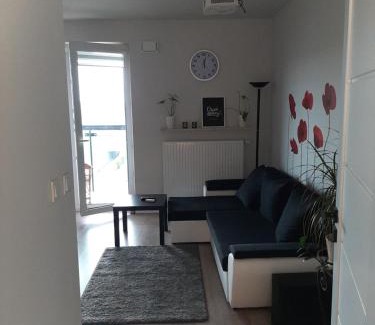 Gorce Apartamento | Apartament Pełka