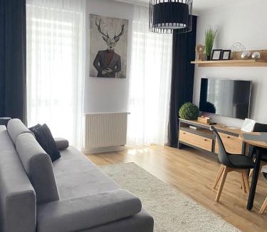 Stargard Szczecinski Apartamento | Apartament Platinum Park