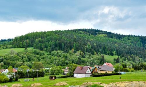 Krynica-Zdroj Apartamento | Apartament Pod Łanem