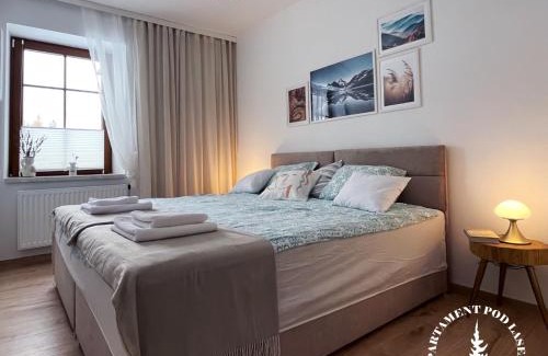 Jedlina-Zdroj Apartamento | APARTAMENT Pod Lasem Jedlina Zdrój